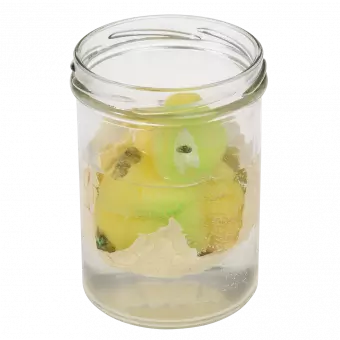 Hatch Your Own Dinosaur Egg