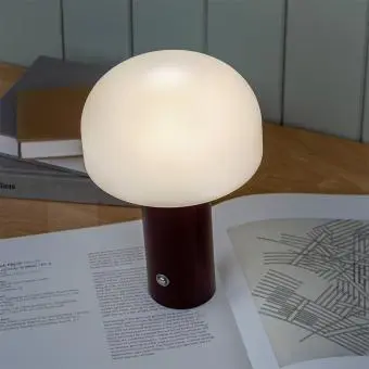 USB lamp with a white dome shade and brown base