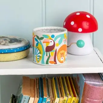 Winding music box - Wild Wonders