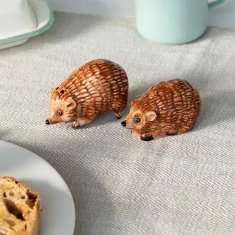 Hedgehog‑shaped ceramic salt and pepper shakers 