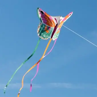 Flying a giant kite, Featuring a vibrant butterfly design with colourful wings and long flowing ribbon tails