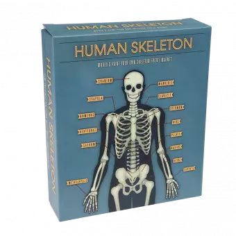Make Your Own Glow In The Dark Skeleton Magnet