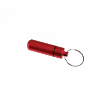 Money Minder Keyring