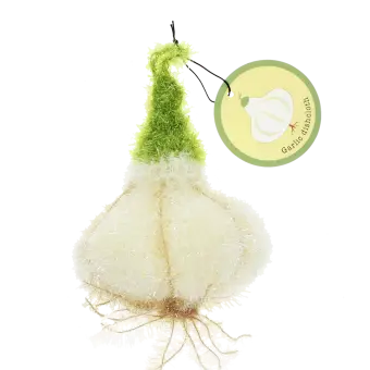 Garlic-shaped dishcloth with a white textured bulb, green stem, root details, and hanging loop with tag.