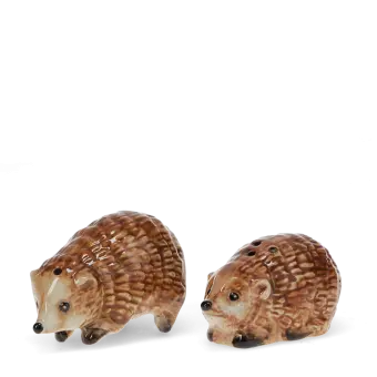 Hedgehog‑shaped ceramic salt and pepper shakers
