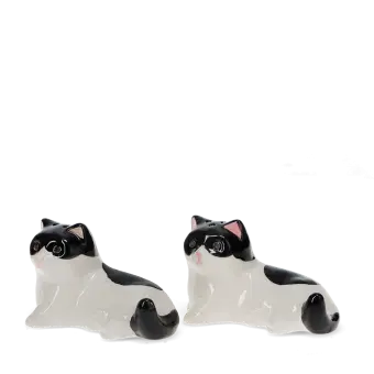Cat‑shaped ceramic salt and pepper shakers .