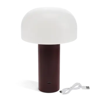 USB lamp with a white dome shade and brown base