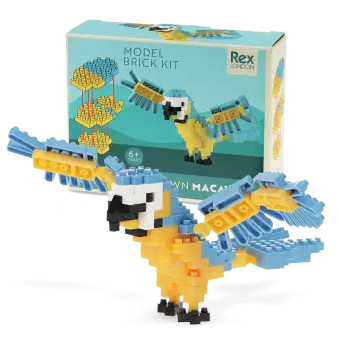 Completed macaw brick model displayed beside its packaging box.