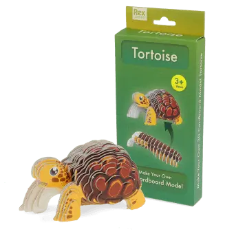 Make Your Own Tortoise 3D cardboard model kit with assembled tortoise and retail box.