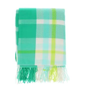Green, white, lime green and tea check blanket.