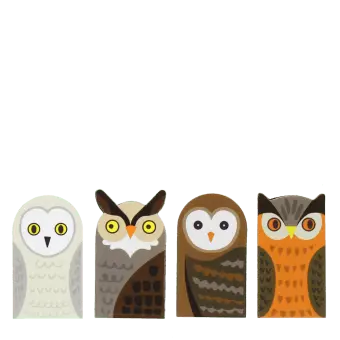 Owl magnetic bookmarks set featuring four owl designs in assorted colours and patterns