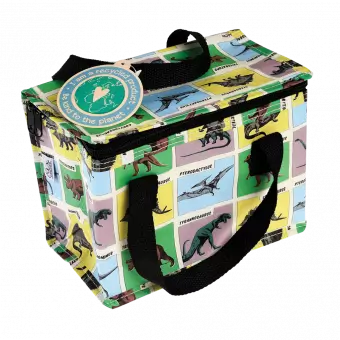 Prehistoric Land Lunch Bag
