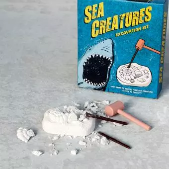 Sea Creature Excavation Kit