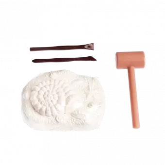 Sea Creature Excavation Kit