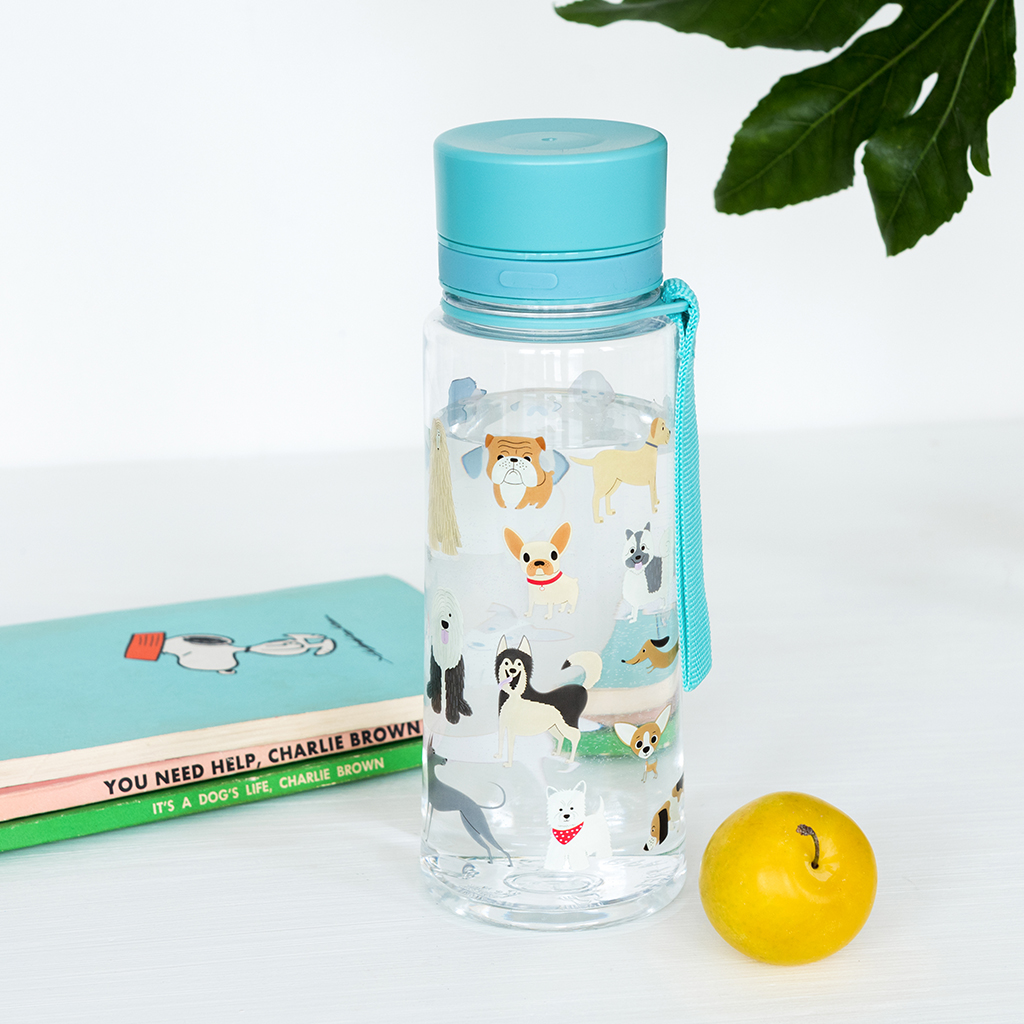 best dog water bottle uk
