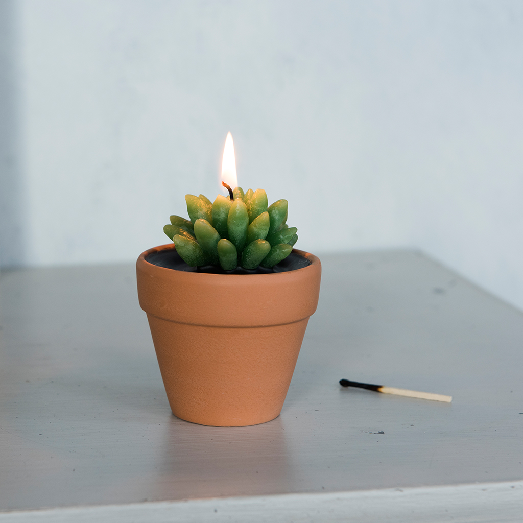 Cactus Candle In A Pot Rex London
