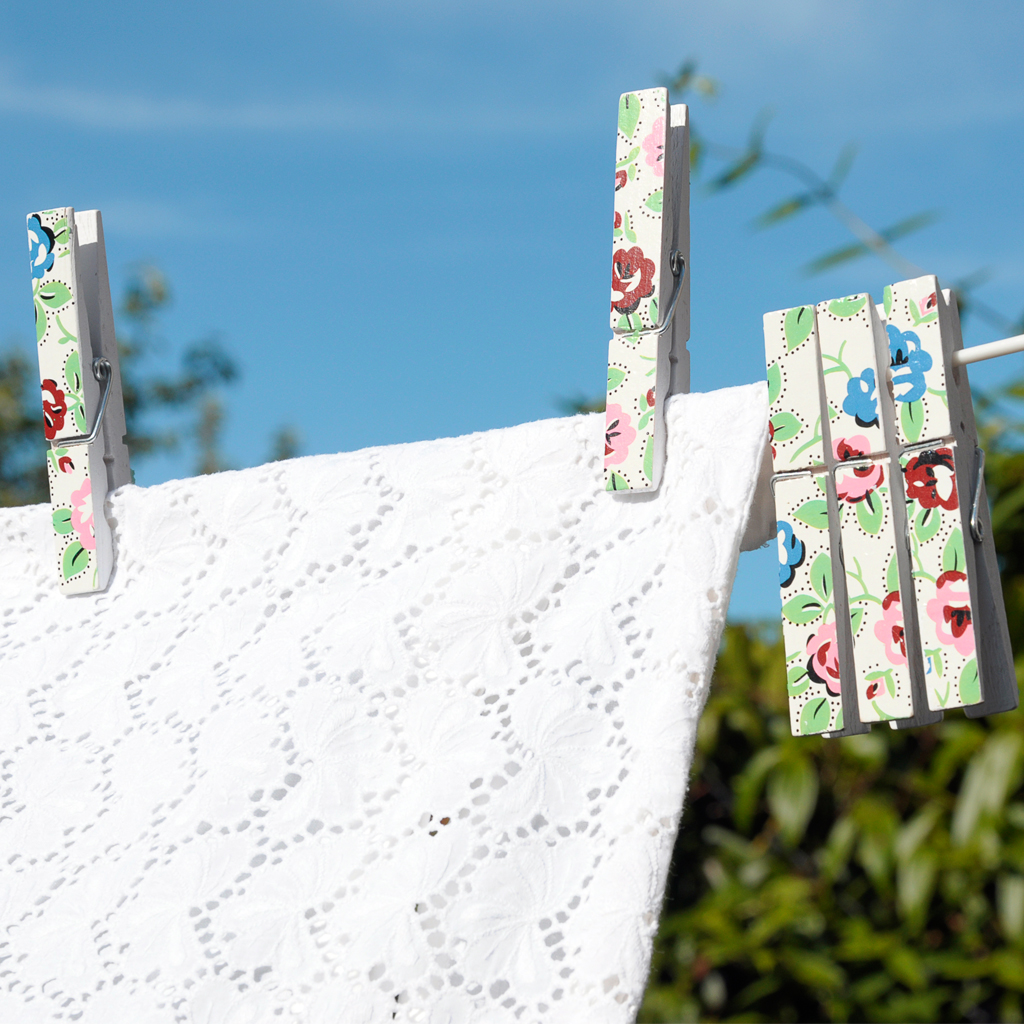 Set 12 Rambling Rose Clothes Pegs Rex London