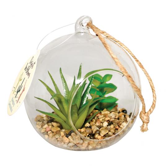 Artificial ' Cactus In Glass ' Eden Rex London