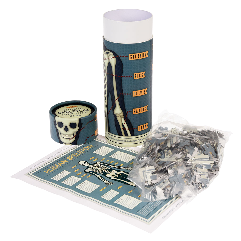 Bone Anatomy Crossword - Muscle Anatomy Crossword - Our ...