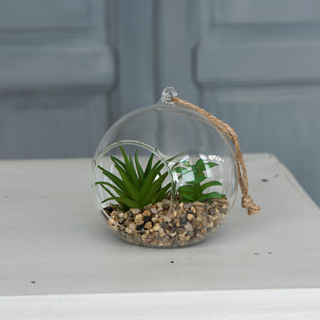 Artificial Cactus In Glass Eden Rex London Dotcift