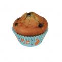 50 Rusty The Fox Print Cupcake Cases 50 Rusty The Fox Print Cupcake Cases
