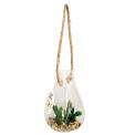 Artificial Cactus and Succulent Plants in Hanging Pot Artificial cactus and succulent plants in hanging pot