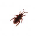 Practical Joke Plastic Cockroach Practical Joke Plastic Cockroach