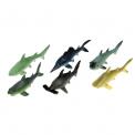 Shark Putty Shark Putty